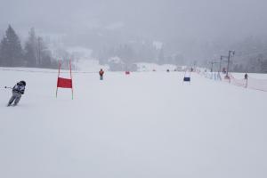 Narciarstwo alpejskie