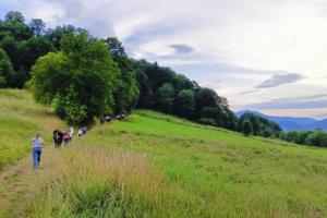 Msza Św. na Grunwaldzie 2025