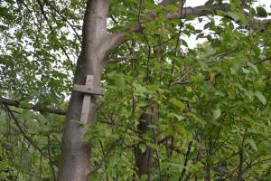 W 610 rocznicę Bitwy pod Grunwaldem