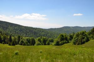 PTTK ZAPRASZA NA GORC