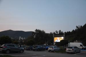 Akcja.... może trwać nadal