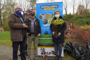 Sadzimy rośliny miododajne