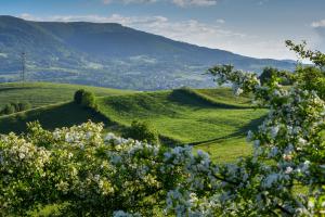 Konkurs fotograficzny - 4 pory roku